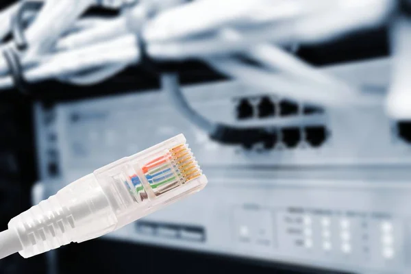 Conceptuele Opname Van Dataverbinding Met Rj45 Patchkabel Voorgrond Dataschakelaar Met — Stockfoto