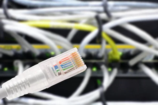 Foto Konseptual Dari Koneksi Data Dengan Rj45 Patch Cable Latar — Stok Foto