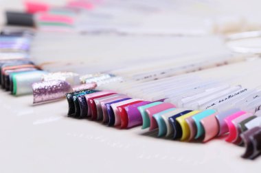 paletle shellac oje renkleri