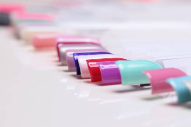 paletle shellac oje renkleri