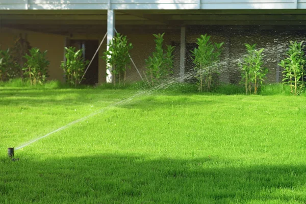 Automatische Sprinklerinstallatie Drenken Van Het Gazon Stockfoto