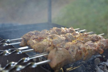 Bir şiş üzerinde domuz kebap