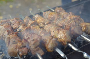 Bir şiş üzerinde domuz kebap