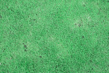 İnanılmaz çimen arka planı