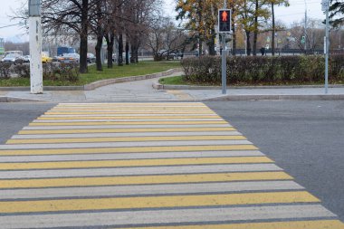 Yaya geçidi ve kırmızı trafik ışığı