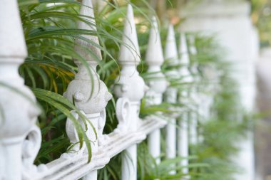 beyaz eski çit ve yeşil çalı