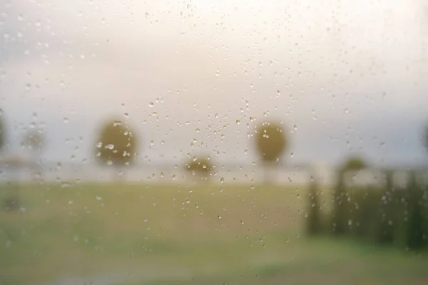 바탕에 윈도우 화면에 나오는 빗방울의 자연적 아름다움 — 스톡 사진