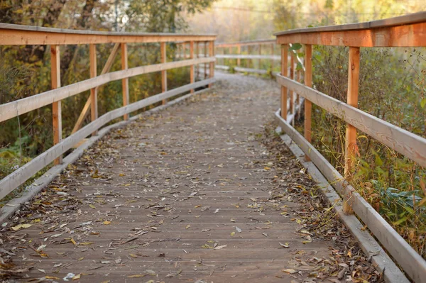 Golden Autumn Beautiful Background Orange Leaves Path — Stock Photo, Image