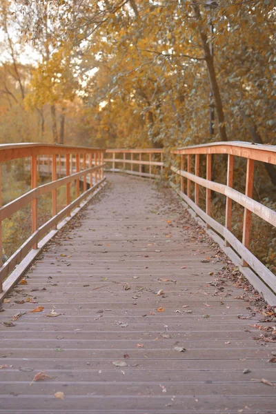 Golden Autumn Beautiful Background Orange Leaves Path — Stock Photo, Image