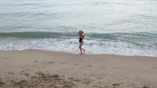 Drone volant le long de la plage — Video