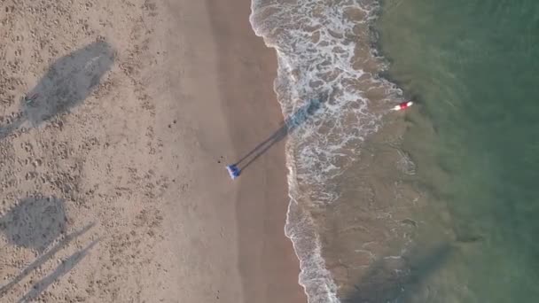 Plan vertical d'un chien jouant dans l'océan 