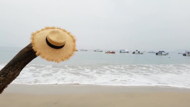 Mädchen Hut und Ozean Hintergrund — Stockvideo
