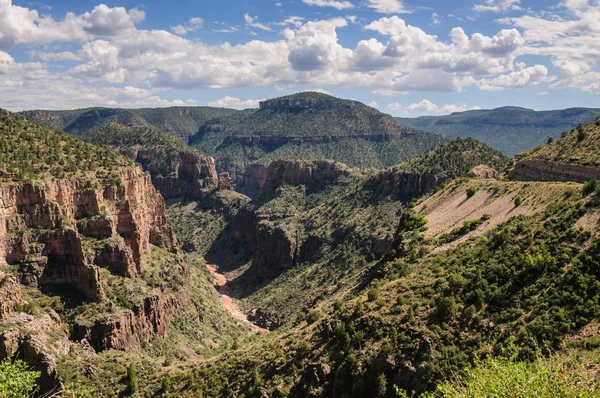 Becker Butte y el río Salado — Foto de Stock