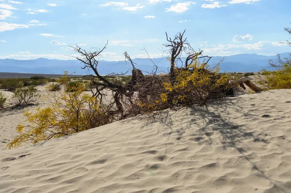 Las dunas de arena del Valle de la Muerte — Foto de Stock