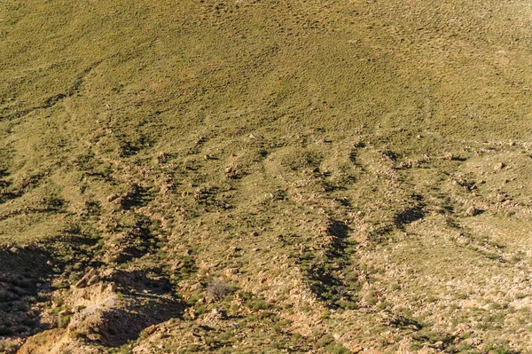 Κοιτάζοντας Προς Κάτω Στην Αριζόνα Meteor Crater Κατά Μήκος Της — Φωτογραφία Αρχείου