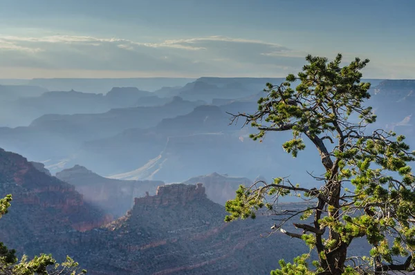 Büyük Kanyon 'da gün batımı