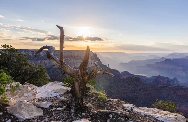 Büyük Kanyon 'da gün batımı