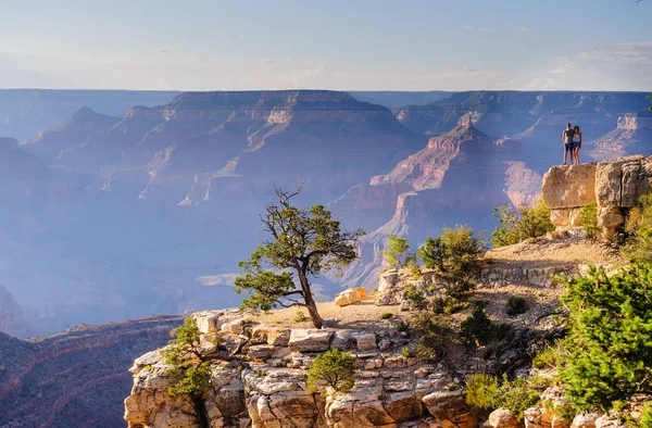Büyük Kanyon jant ağaçta