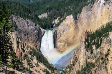 Lower Yellowstone Falls