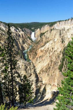 Yellowstone alt falls