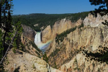 Lower Yellowstone Falls
