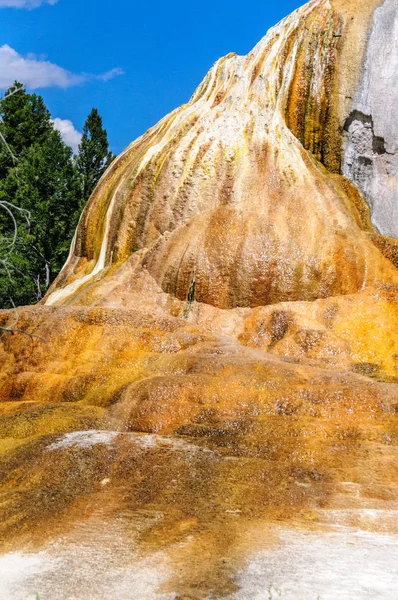 Orange Spring Mound