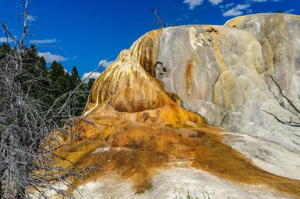 Orange Spring Mound