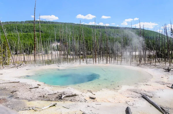 Kotlina Norris Geyser — Zdjęcie stockowe