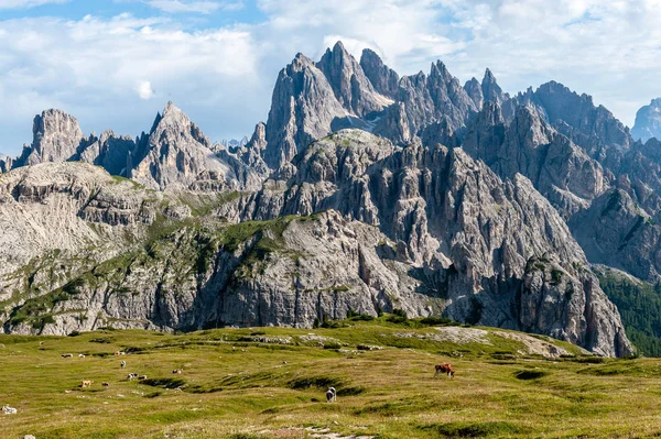 Masszív Hegyvonulatok Tre Cima Természeti Park Területén Olasz Dolomitok — Stock Fotó