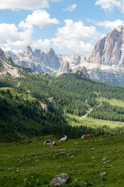 Mountain Scene Italian Dolomites Giau Pass Summer Afternoon — Stock Photo, Image