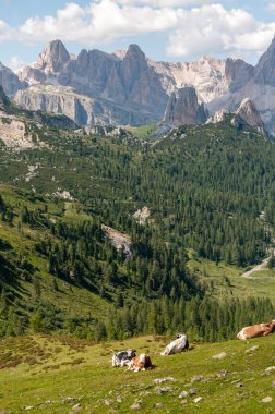 Bir yaz öğleden sonra üzerinde İtalyan Dolomites toplayan dağ
