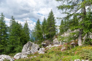 Yaz aylarında Dolomites