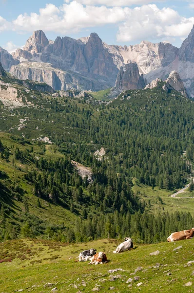 The Dolomites in Summer — Stock Photo, Image
