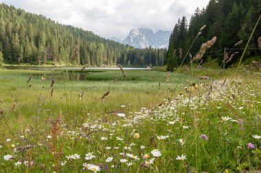 Lago Misurina İtalyan Dolomites içinde