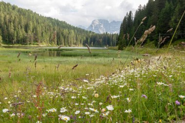 Lago Misurina İtalyan Dolomites içinde