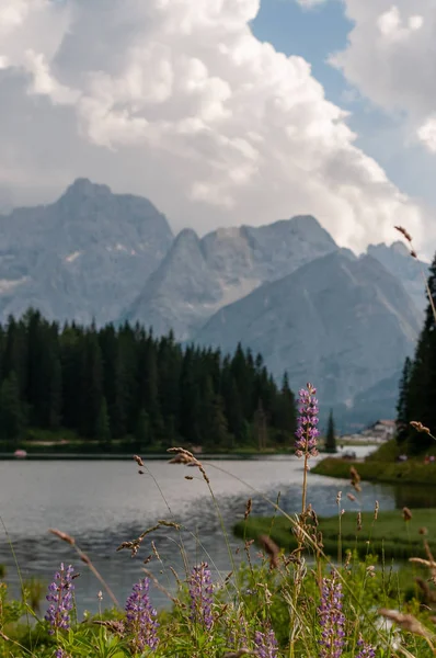 Lago Misurina en los Dolomitas Italianos — Foto de Stock