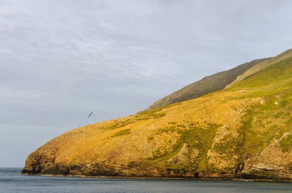 Фолклендські острови узбережжя — стокове фото