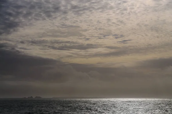 Побережье Фолклендских островов — стоковое фото
