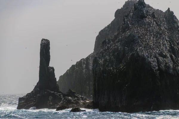 Nahaufnahme eines der Shag-Felsen — Stockfoto