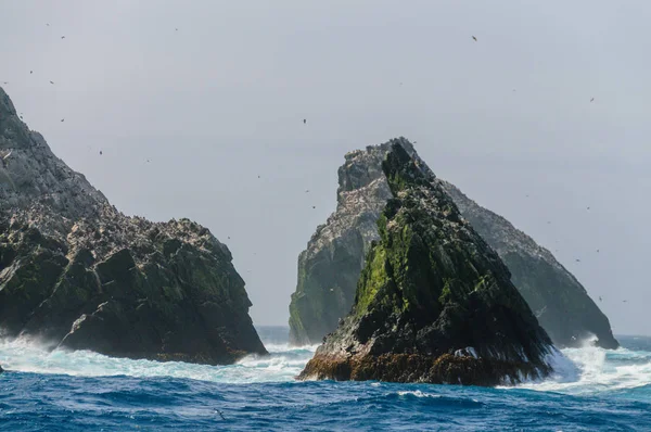 シャグ岩の 1 つのクローズ アップ — ストック写真