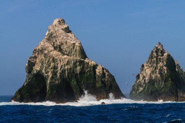 Bir Shag taş yakın çekim