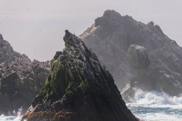 シャグ岩の 1 つのクローズ アップ — ストック写真