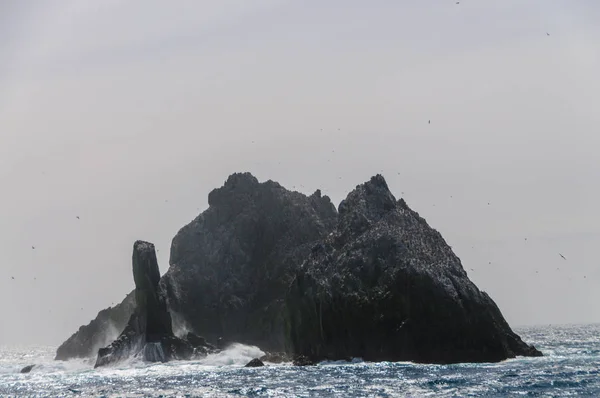 Close-up of one of the Shag Rocks — Stock Photo, Image