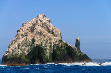 Bir Shag taş yakın çekim