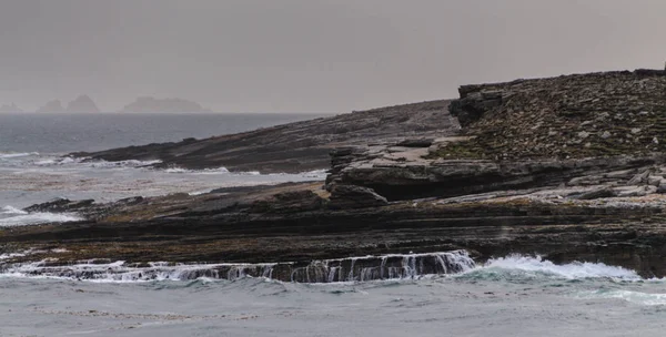 La costa delle Isole Falkland — Foto Stock