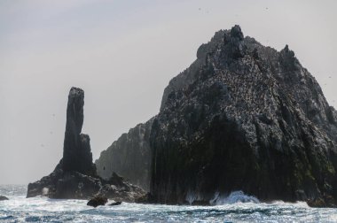 Bir Shag taş yakın çekim