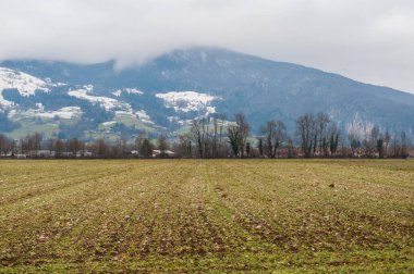 Kırlarda Fransızca Savoy alanında izlenimi