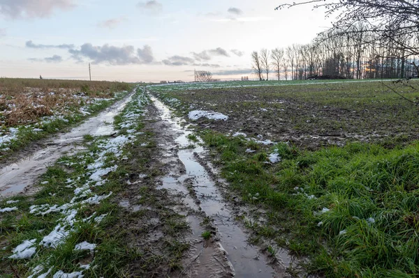 Winter Landscape in Belgium — Stock Photo, Image