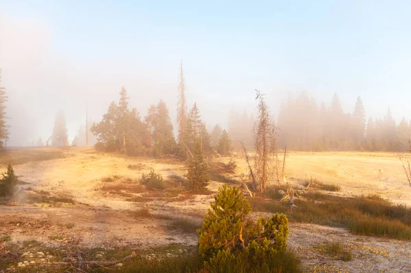 Salida del sol la era del pulgar oeste del Parque Nacional de Yellowstone —  Fotos de Stock