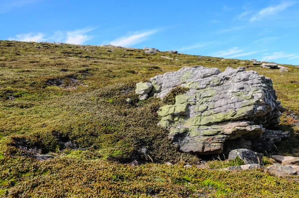 Великий камінь на острові туші — стокове фото